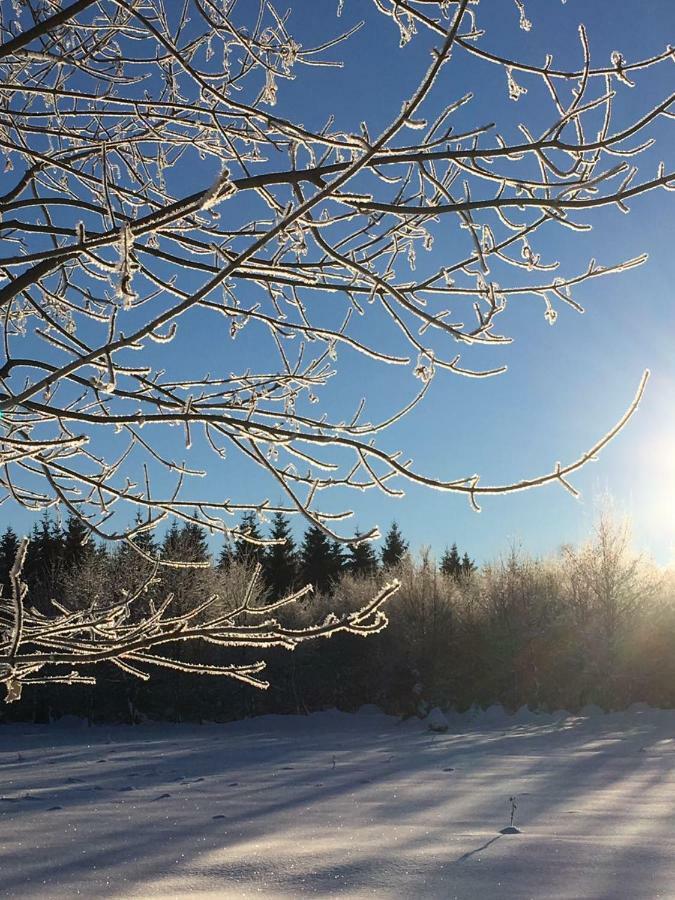 Ferienwohnung Arnika Inklusive Waeschepaket Braunlage Zewnętrze zdjęcie