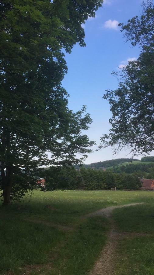 Ferienwohnung Arnika Inklusive Waeschepaket Braunlage Zewnętrze zdjęcie
