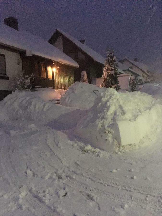 Ferienwohnung Arnika Inklusive Waeschepaket Braunlage Zewnętrze zdjęcie