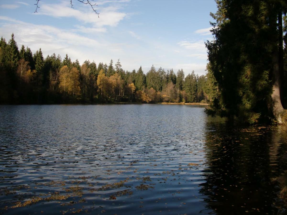Ferienwohnung Arnika Inklusive Waeschepaket Braunlage Zewnętrze zdjęcie