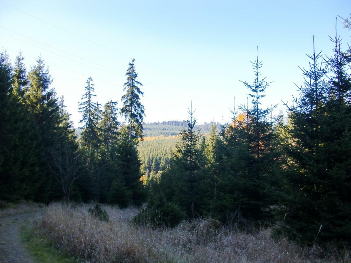 Ferienwohnung Arnika Inklusive Waeschepaket Braunlage Zewnętrze zdjęcie
