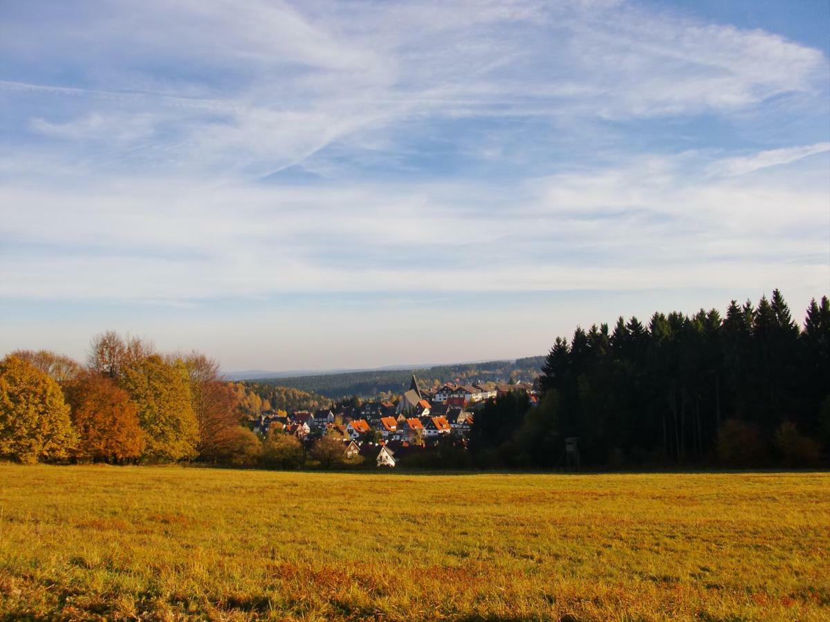 Ferienwohnung Arnika Inklusive Waeschepaket Braunlage Zewnętrze zdjęcie