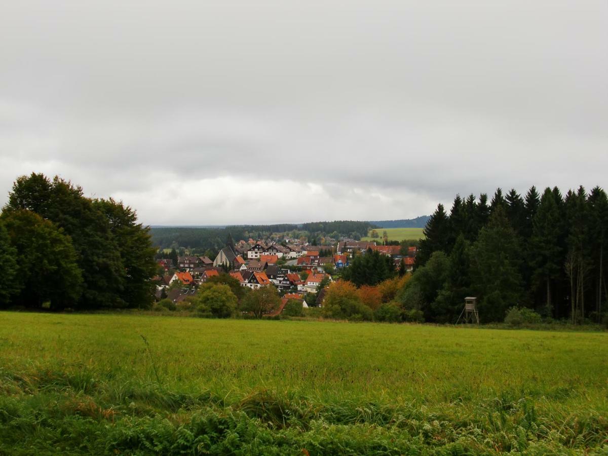 Ferienwohnung Arnika Inklusive Waeschepaket Braunlage Zewnętrze zdjęcie