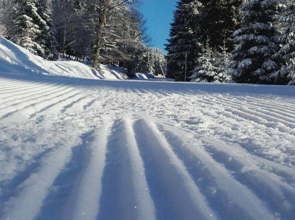 Ferienwohnung Arnika Inklusive Waeschepaket Braunlage Zewnętrze zdjęcie