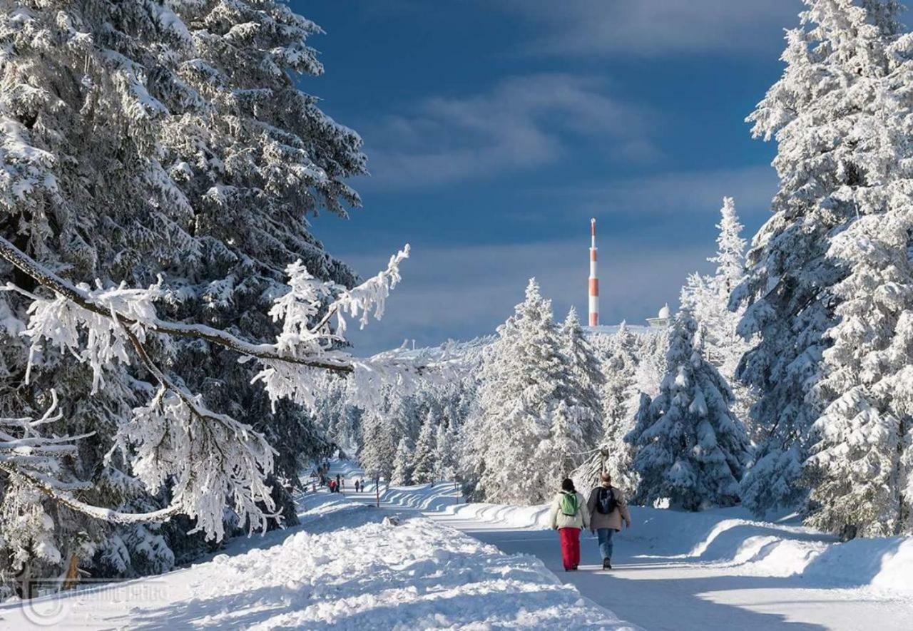 Ferienwohnung Arnika Inklusive Waeschepaket Braunlage Zewnętrze zdjęcie